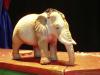100 kilos et ses �l�phants